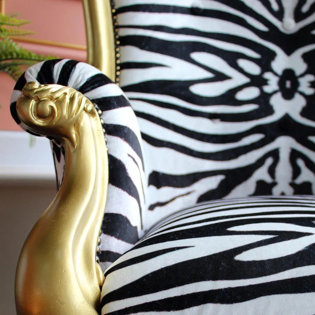 Bold Zebra Fabric - Avalana Design