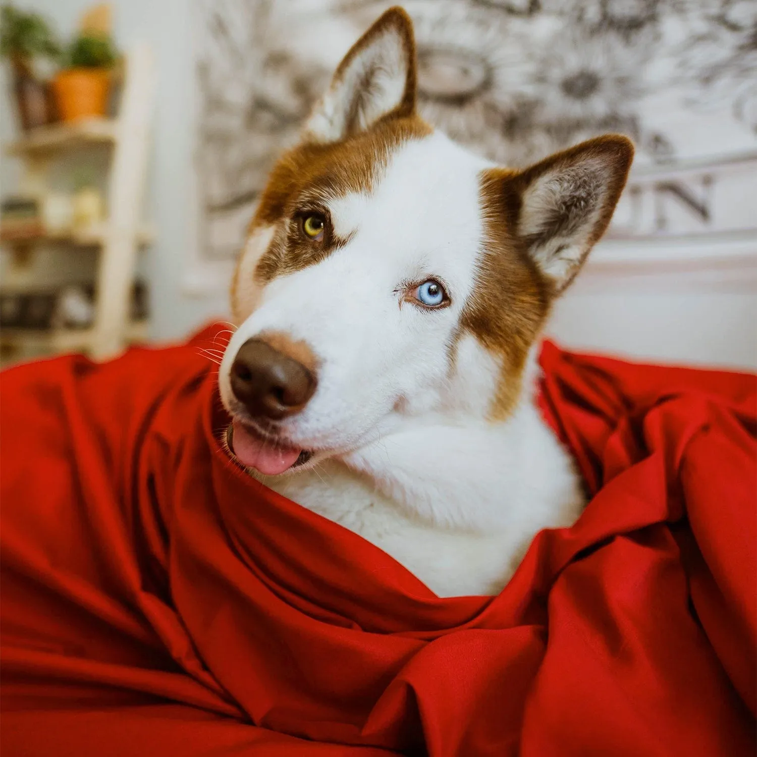 Red Velvet Sheet Set